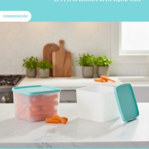 Refrigeradoras quadradas 800ml(2)